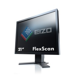 Flexscan S2133